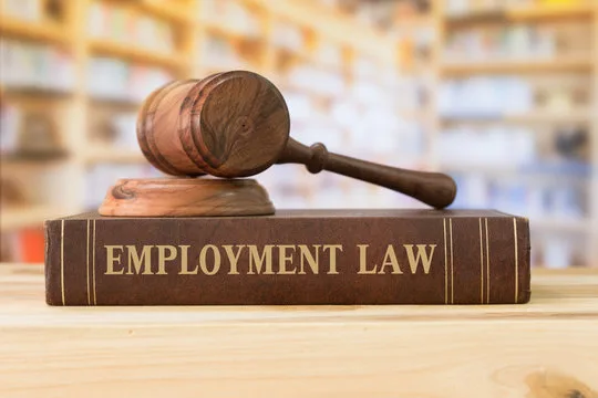 Workers Rights and Employment Law Guide